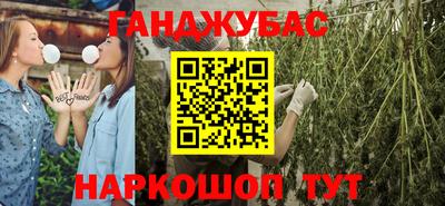 крисы Краснознаменск