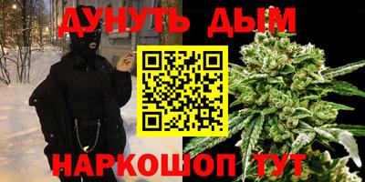 крисы Краснознаменск