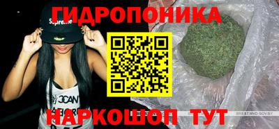 крисы Краснознаменск