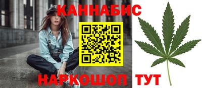 сатива Краснодар