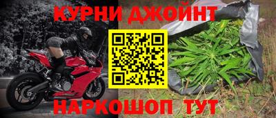 сатива Краснодар