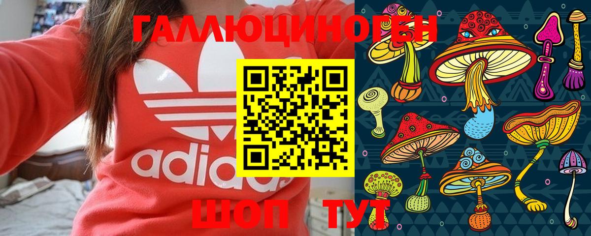Псилоцибиновые грибы прущие грибы Чапаевск