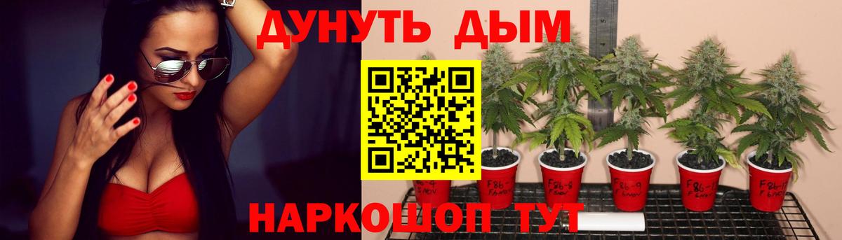 Канабис ГИДРОПОН Чапаевск